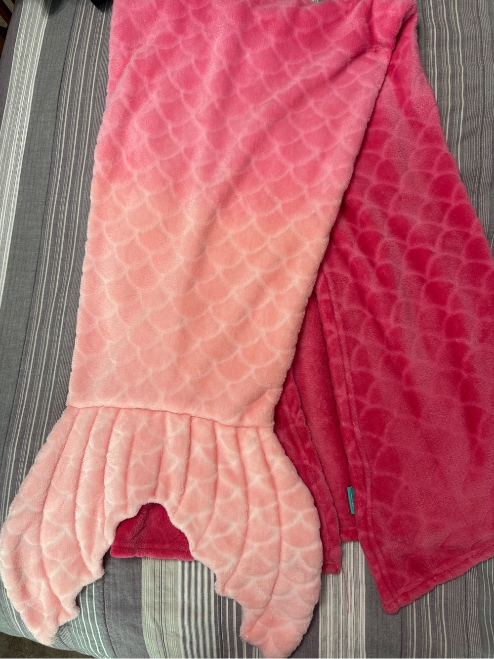 Pillowfort Pink Plush Blanket - Bright Pink Ombré